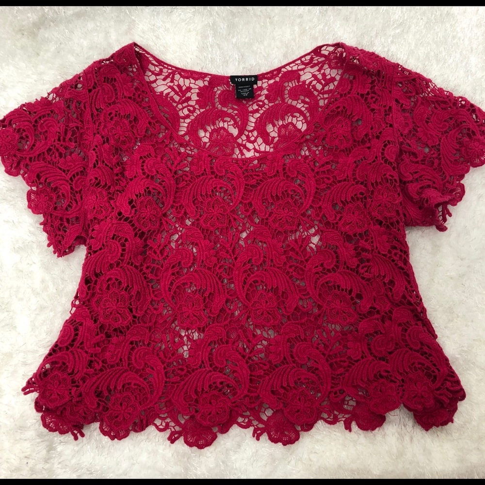 Torrid crotchet crop sweater